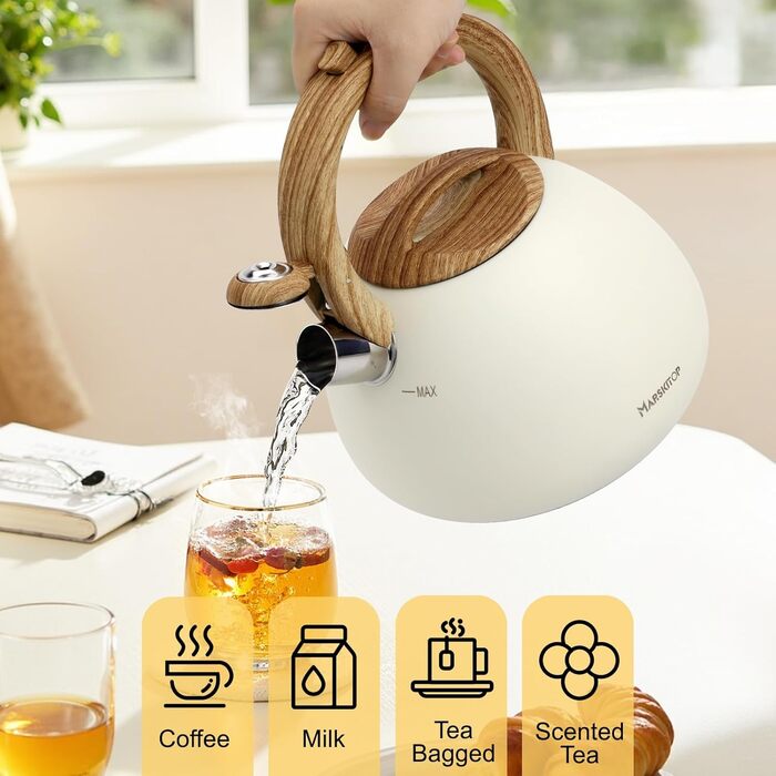 Чайник заварний з нержавіючої сталі Teekessel Pfeifende для плити та індукції, 2.5 л, зелений