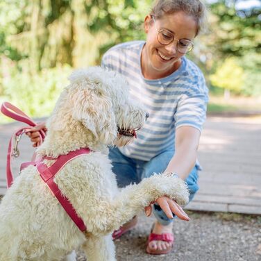 Набір мисок для собак Nobby Norwegergeschirr Classic Preno, оранжевий/сірий, L (68-85 см + 54 см), 40/45 мм, 1 шт.