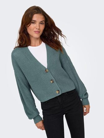 Жіноча жилетка ONLY ONLCAROL (XXL, Cayenne)