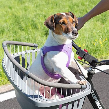 Кошик для собак на велосипед Ferplast Atlas Bike 20 Rapid, сірий, для собак до 7 кг, з знімним подушкою, 47 x 35,5 x 34,5 см