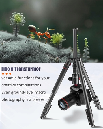 Професійний штатив CAMBOFOTO 188 см, портативний штатив-монопод 191 см