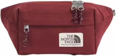 Куртка THE NORTH FACE жіноча, сумак/альпійська слива, водонепроникна