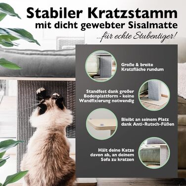 Nemmy Premium Cat Tree Small Beige | Stable Scratching Post Extra Wide | Cat Bed with Cushion | Cat Tree for Large Cats | Modern Wood Natural | Scratching Post | Scratching Post (Birch/Dark Grey)