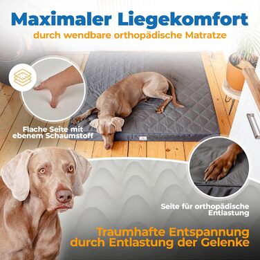 Orthopedic Dog Bed [Waterproof] - Your Furry Friend's New Favorite Dog Mat, Non-Slip Dog Cushion, Dog Basket, Dog Bed, Washable Cover | Small to Large Dogs | 90x80x8 cm (XL (130x120x9cm))