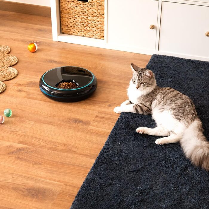 Автоматичний годівниця для домашніх тварин Cecotec Pumba 1600 Purrfect Meal - 1,6 л, 4 відділення, таймер, LED-дисплей, голосовий рекордер