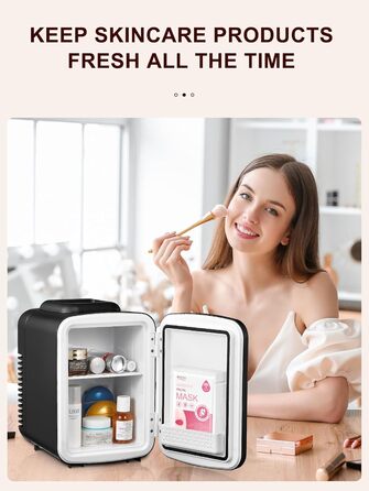Reemix Mini Fridge - 4L / 6 Can Capacity - Portable Cooler & Warmer