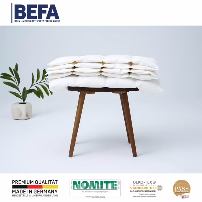 Літня пухова ковдра BEFA NATUR 155x220 см з 90% гусячого пуху, 10% пера, для алергіків, сертифікат Öko-Tex 100, Downpass, Німеччина (2 шт.)