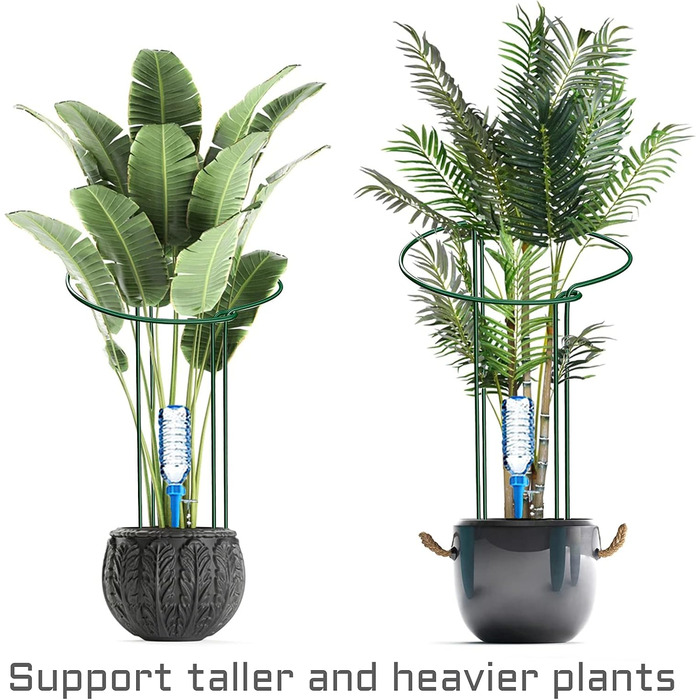 KAZITOO 8 Pack Large 60cm Tall Arch Plant Support Stakes, 4mm Thick Metal Garden Supports Green Half-Round Flower Rings with 4 Self-Watering Tips for Peonies, Hydrangeas, Monstera (60x30cm)