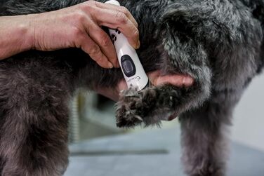 Акумуляторна газонокосарка Kerbl GT416 Exacta з Li-Ion акумулятором