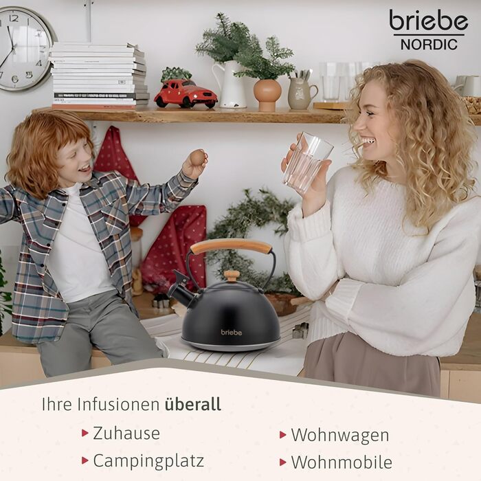 Чайник електричний Nordic Wasserkessel Induktion 2.3L, з свистком, з нержавіючої сталі, ретро дизайн, для всіх типів плит (склокераміка, газ, електро), з дерев'яною ручкою Cool-Touch, для чаю та кави, чорний