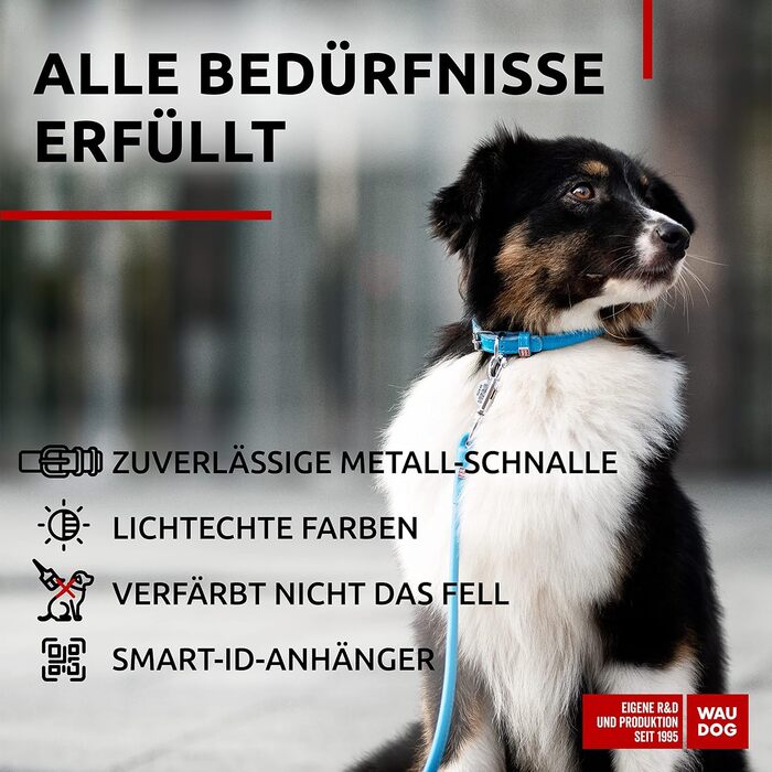 Нашийник для собак WAUDOG з натуральної шкіри, 20-25 см, 8 мм, блакитний