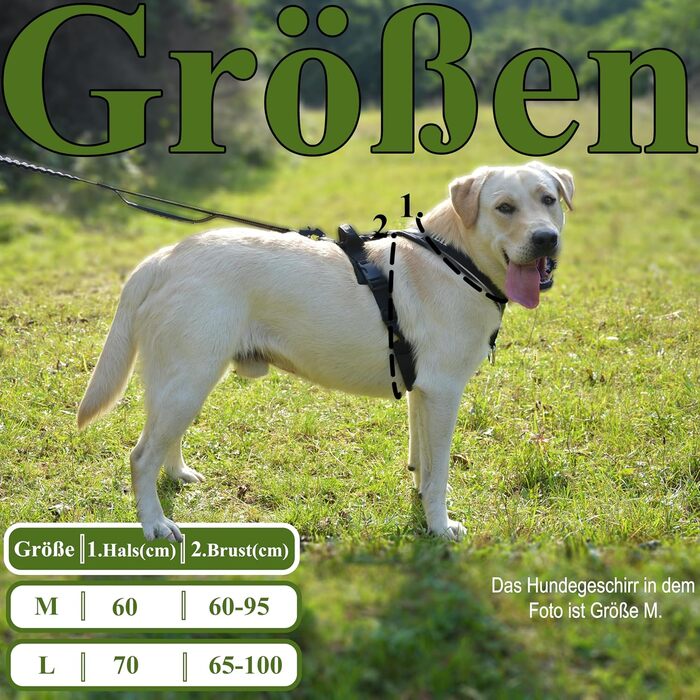 Нашийник для собак ILII Y - міцний, елегантний та комфортний. Унікальний дизайн для середніх та великих собак. Чорний, мінімальне покриття