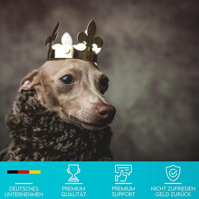 Преміум сумка для ласощів для собак HUND IST KÖNIG - універсальна, містка, з дозатором для відходів та Ebook для дресирування (Чорний, 16 x 18 x 6 см)