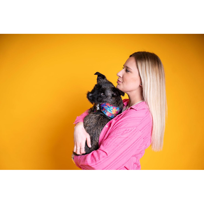 Шлейка Julius-K9 Power&More для собак, розмір M, колір Vibe