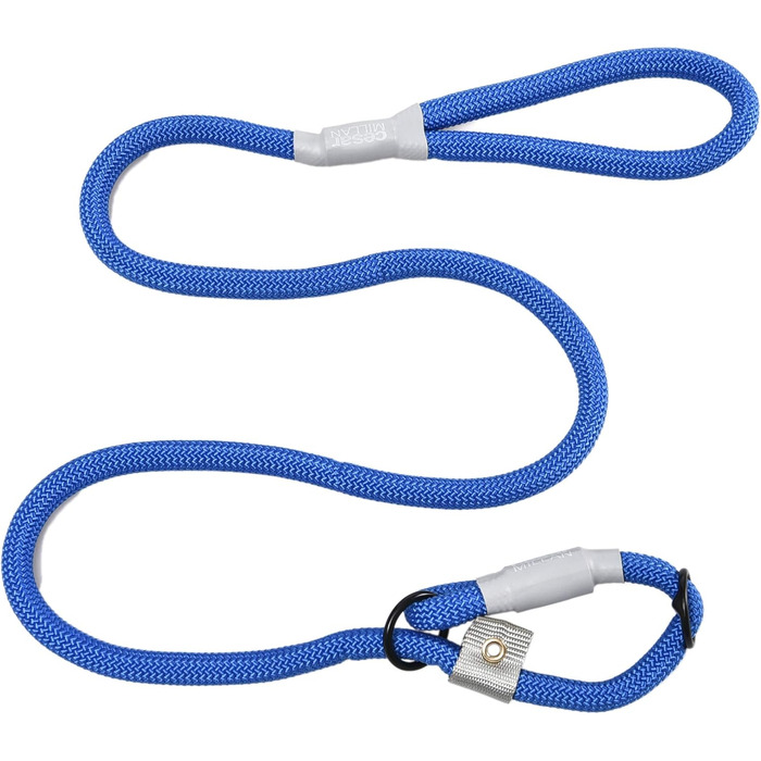 Leine - Training lead for dogs - 2in1 dog collar and leash - Slip lead - Retriever lead with integrated collar (Small/Medium - Color: ) - Length 120 cm, Diameter 1 cm (Groß, Blue)