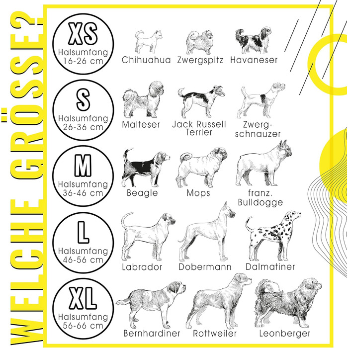 Набір повідка та нашийника ne&no® (веганська шкіра) для собак, 1.2м, блакитний/антрацит, регульований, з карабіном