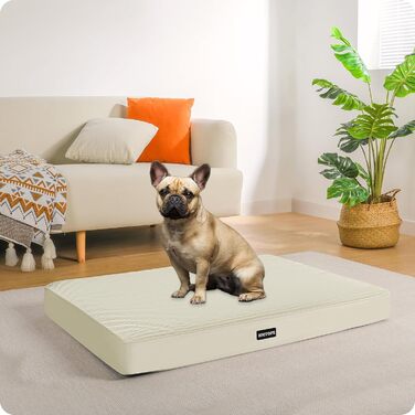 Ортопедичне ліжко для собак, 10 см товщина, для середніх та великих собак, знімний та пральний килимок, неслизьке дно, водонепроникне внутрішнє покриття, 112 см, оливковий колір (L 76 x B 51 x H 8 см, бежевий)