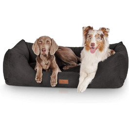 Knuffelwuff Dog Bed Dreamline in Velour XXL 120 x 85cm - removable cover - easy to clean - for large, medium and small dogs (Black, L 155 x W 105 x H 30 cm)