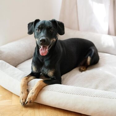 М'яке ліжко для собак 4L Textil Teo, корзина для собак середнього розміру, ліжко-подушка, 60x40 см, бежеве