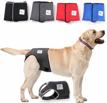 Incontinence pants for female dogs / Incontinence pants for male dogs / Dog protection pants made of high-quality, perforated neoprene, black, XS, (manufacturer size 1)
