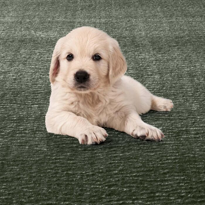 Килимок для ванної Taracarpet Fiona, 50x80 см, темно-зелений, антиковзаючий, миючий, для ванної кімнати