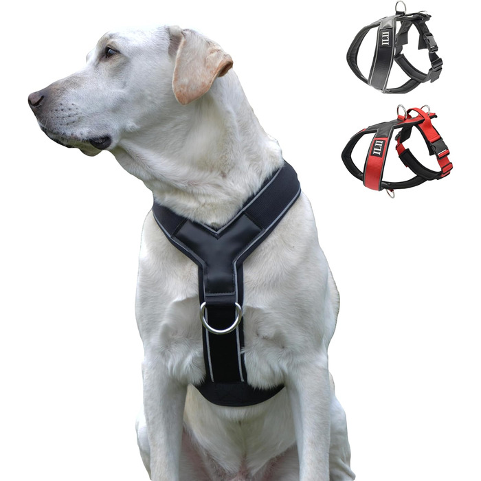 Нашийник для собак ILII Y - міцний, елегантний та комфортний. Унікальний дизайн для середніх та великих собак. Чорний, мінімальне покриття