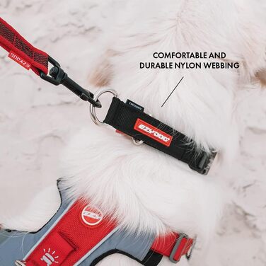 Нашийник для собак EzyDog Checkmate – нашийник-стоп для дресирування. Регульований нашийник для великих, середніх та маленьких собак (S, Чорний)