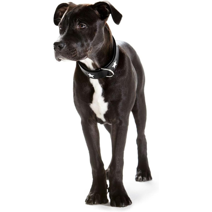 Нашийник для собак HUNTER MAGIC STAR, шкіряний, чорний, розмір M (55 см)