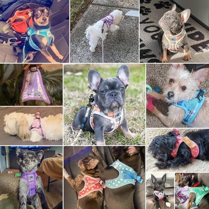 Нашийник та поводок для собак та котів BEAUTYZOO, м'яка сітка, світловідбиваючий, для дрібних та середніх цуценят, в клітинку, XS/S, (Medium(41-46см обхват грудей), Рожевий)