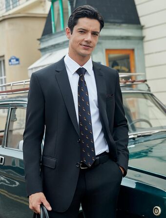 HISDERN Комплект краватки та кишенькового хустинки з принтом тварин для чоловіків, вечірній/діловий стиль, синій/сова, універсальний розмір