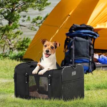 Транспортна переноска для кота та маленького собаки Petsfit, чорна, середнього розміру, з м'яким килимком та патентованими застібками