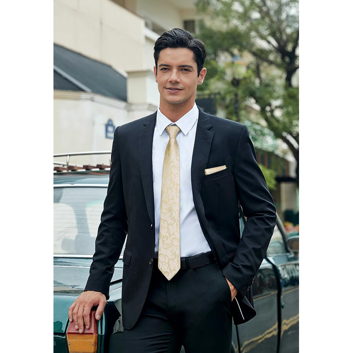 HISDERN Комплект краватки та нагрудного хустинки для весілля, Пайслі, жаккард, однотонні кольори, різні кольори