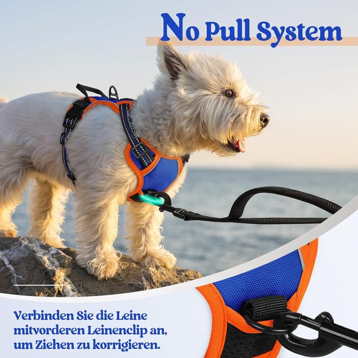 Нашийник для собак Rabbitgoo середнього розміру, анти-тяга, регульований, для великих собак, дихаючий, з світловідбиваючими смугами, безпечне керування, L (Синій+Помаранчевий, XS (1 шт.))
