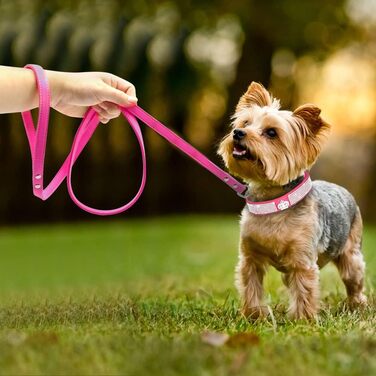 Нашийник для собак Roa з м'якої шкіри та поводок-стрічка: блискучий набір з діамантами для маленьких та середніх собак та котів (XS, Рожевий)