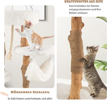 Дерев'яна кігтеточка SOARS для котів з 3-ма природними стовбурами, ліжко та плюшеві поверхні, з іграшковим м'ячиком та джутовим мотузком, багатоярусна, 59 x 49 x 110 см, білий колір