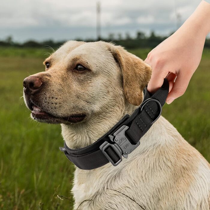 Нашийник для собак регульований з контролем, тактичний нашийник з нейлону, м'який нашийник з металевою застібкою, для середніх та великих собак, для полювання, тренувань, на вулицю, чорний, розмір M (35-47 см)