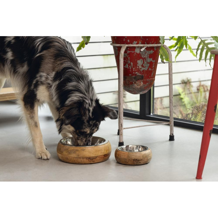 Lotte Holznapf Mandira 650ml Ceramic Dog Bowl - Brown