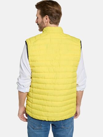 Жилет чоловічий степний Vivoro 50, Babista, жовтий