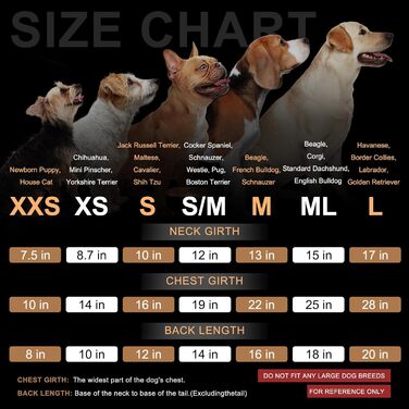 BEAUTYZOO Dog Hooded Sweatshirt for Small, Medium, and Large Dogs, Winter, Autumn, Warm Dog Clothes for Puppies, S, M, Dogs, Girls, Boys, Dog Sweater, Shirt, Hoodies with Pocket, (L (Back: 20
