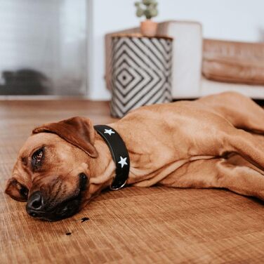 Нашийник для собак HUNTER MAGIC STAR, шкіряний, чорний, розмір M (55 см)