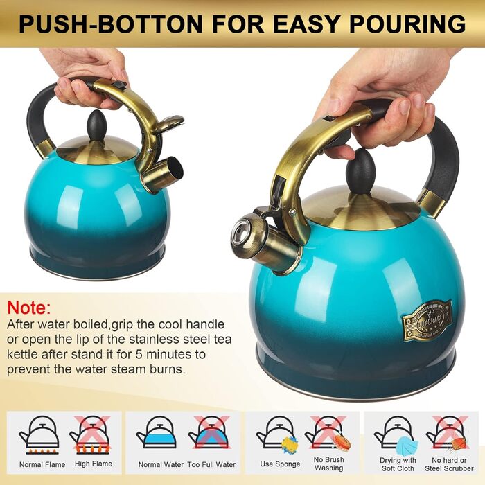 Чайник для заварювання чаю, класичний чайник з нержавіючої сталі, 3 л, блакитний