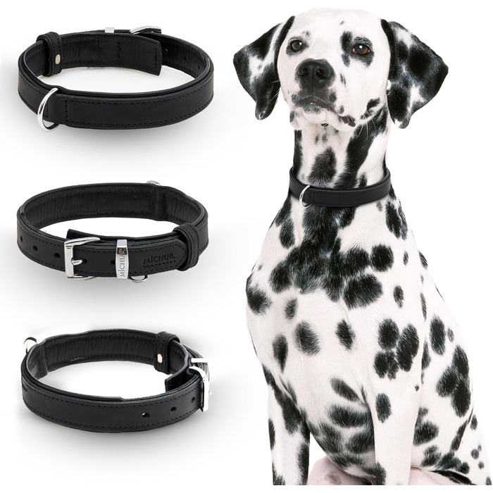 Мінімалістичний шкіряний нашийник для собак Michur Minimo, чорний, різні розміри (36-45 см)