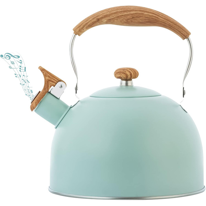 Чайник-заварник зі свистком, нержавіюча сталь, Induktion, для всіх плит, з ергономічною ручкою