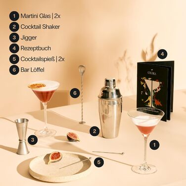 Коктейльний набір Cocora Martini (8 предметів) - шейкер, келихи для Мартіні, книга рецептів, подарункова упаковка (срібний)