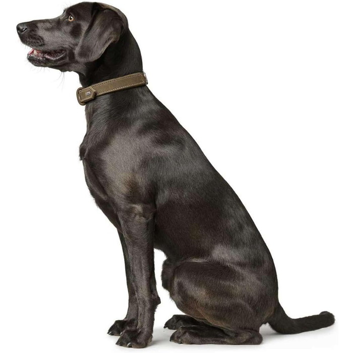 Нашийник для собак Hunter, шкіра нубук, міцний, м'який, розмір S-M, оливковий, 65 см