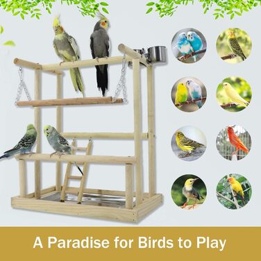 Bird Playground, budgie toys, bird play stand, bird gym, bird accessories, climbing frame with feeder cups, tray, swing for parakeets, canaries, finches, etc. (#8)