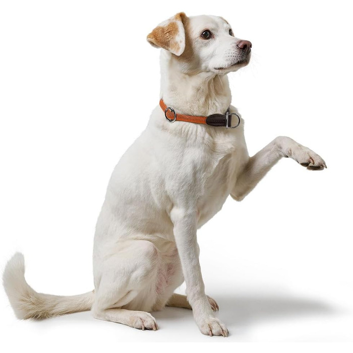 Нашийник для дрессури HUNTER FREESTYLE, червоний, розмір M. Міцний, з нейлоновим тросом, стійкий до погодних умов, для тренувань та повсякденного використання.