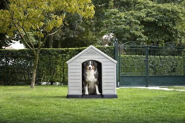 CURVER Dog House - Gray, Waterproof & UV Resistant - Recycled PVC - Large Dog Size - 95x99x99cm