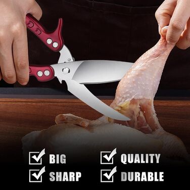 DRAGON RIOT Poultry Shears Detachable, Heavy Duty Meat Shears, Multi-Purpose Kitchen Shears for Cutting Bones, Meat, Poultry, Vegetables, Seafood, and Pizza, Bone Cutting Shears Red
