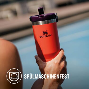 Stanley Flip Straw Tumbler 1.0 Drinking Bottle with Straw 0.89L - Thermos Bottle Keeps 12+ Hours Cold - Dishwasher Safe - Sports Bottle - Water Bottle BPA Free - (Tigerlily Plum)